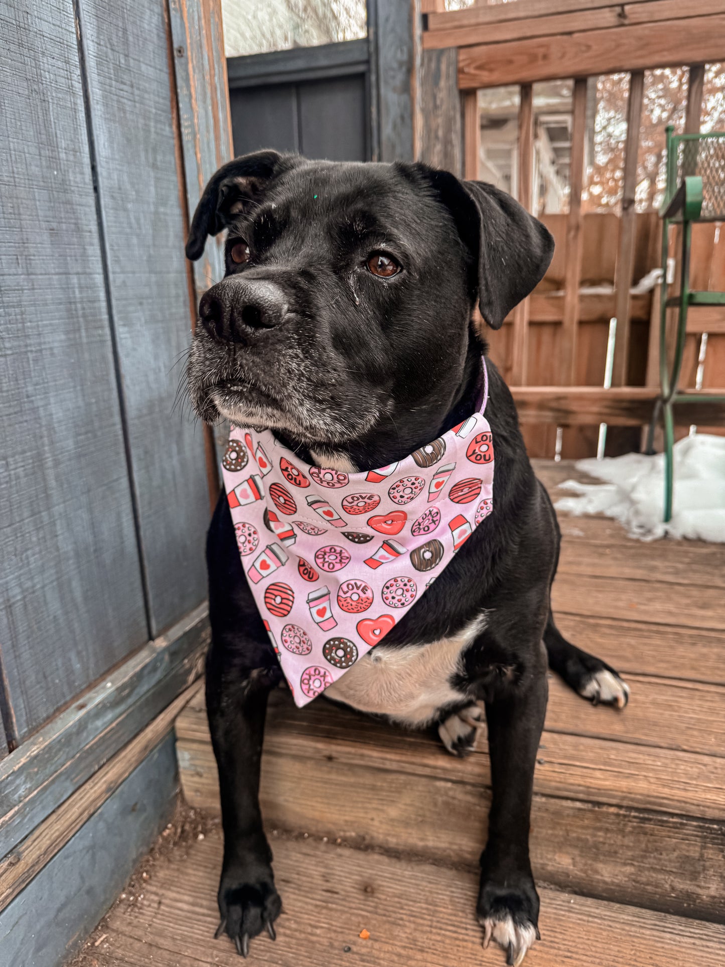 Valentines Donuts and Coffee Bandana