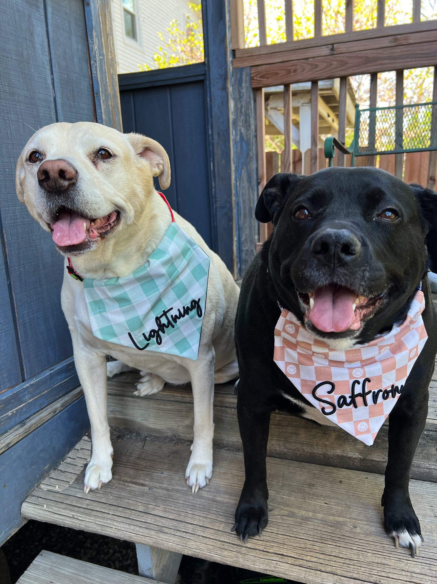 3D Embroidered Dog Bandana