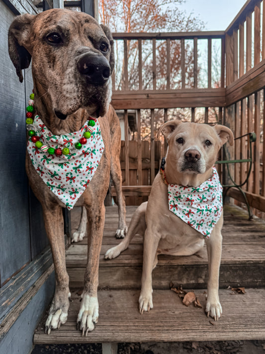 Candy Canes Bandana