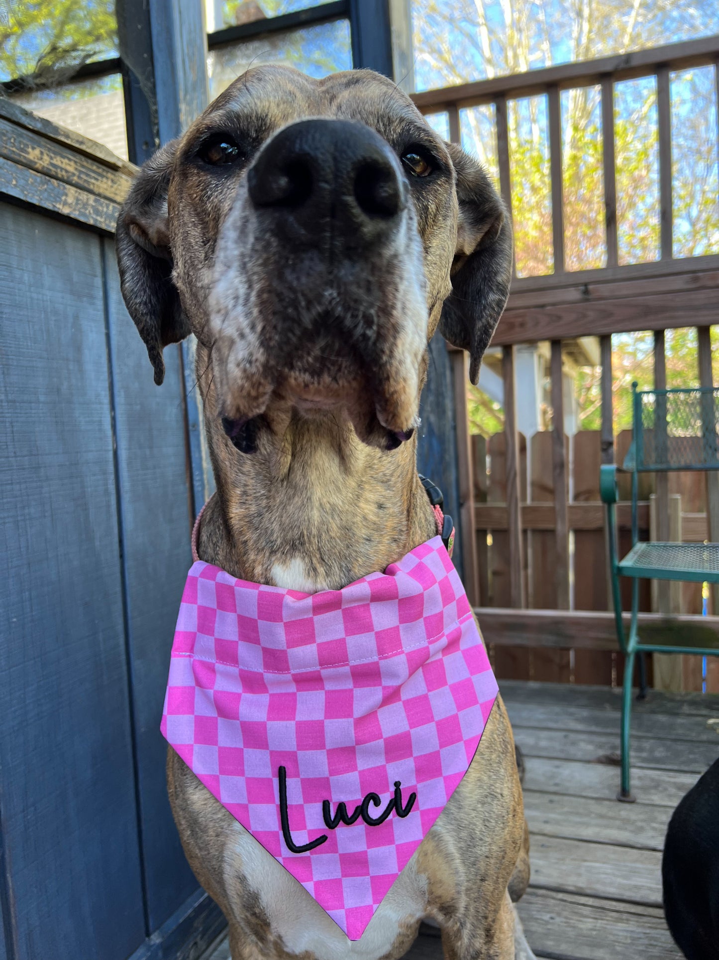 3D Embroidered Dog Bandana