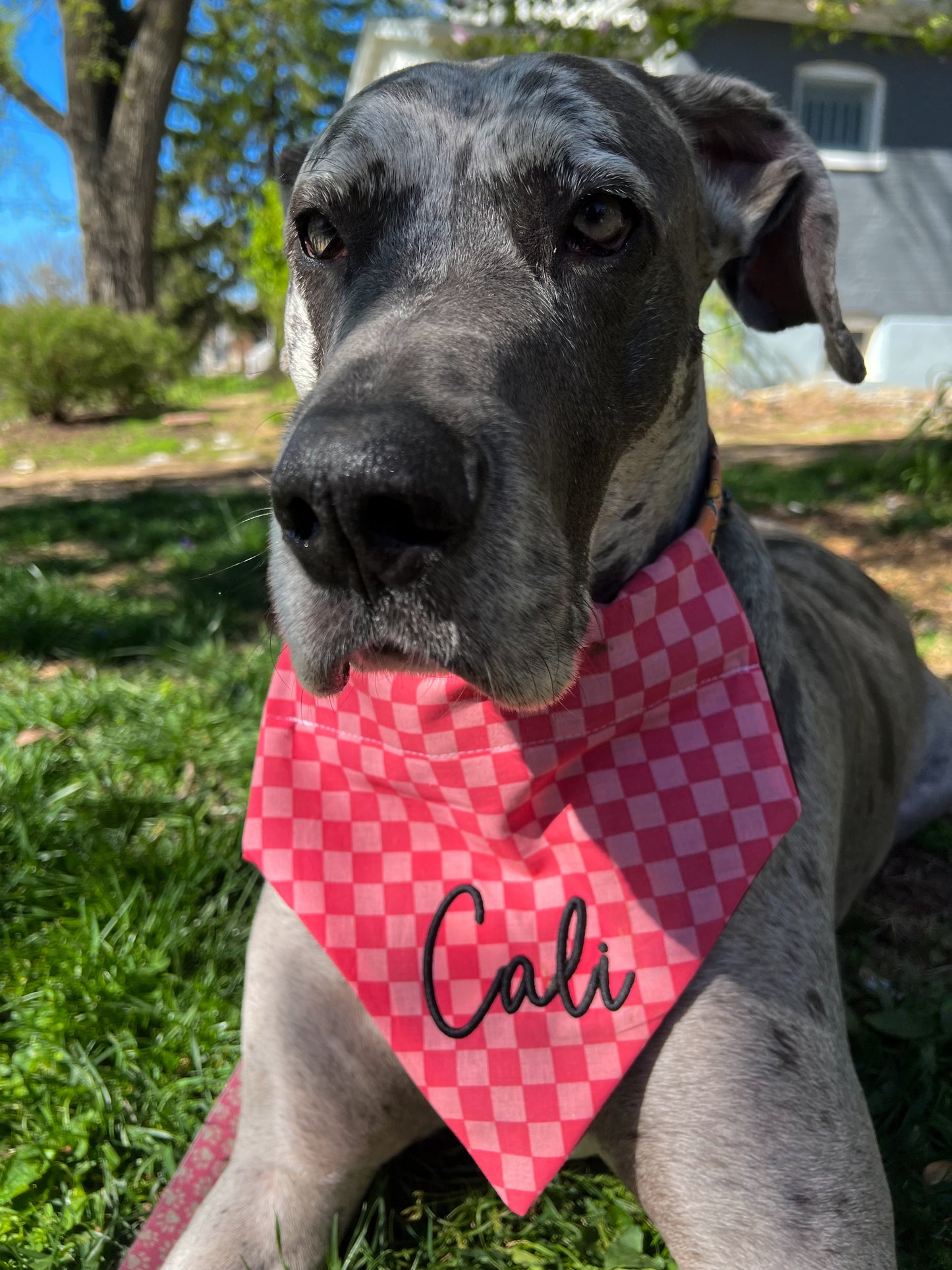 3D Embroidered Dog Bandana