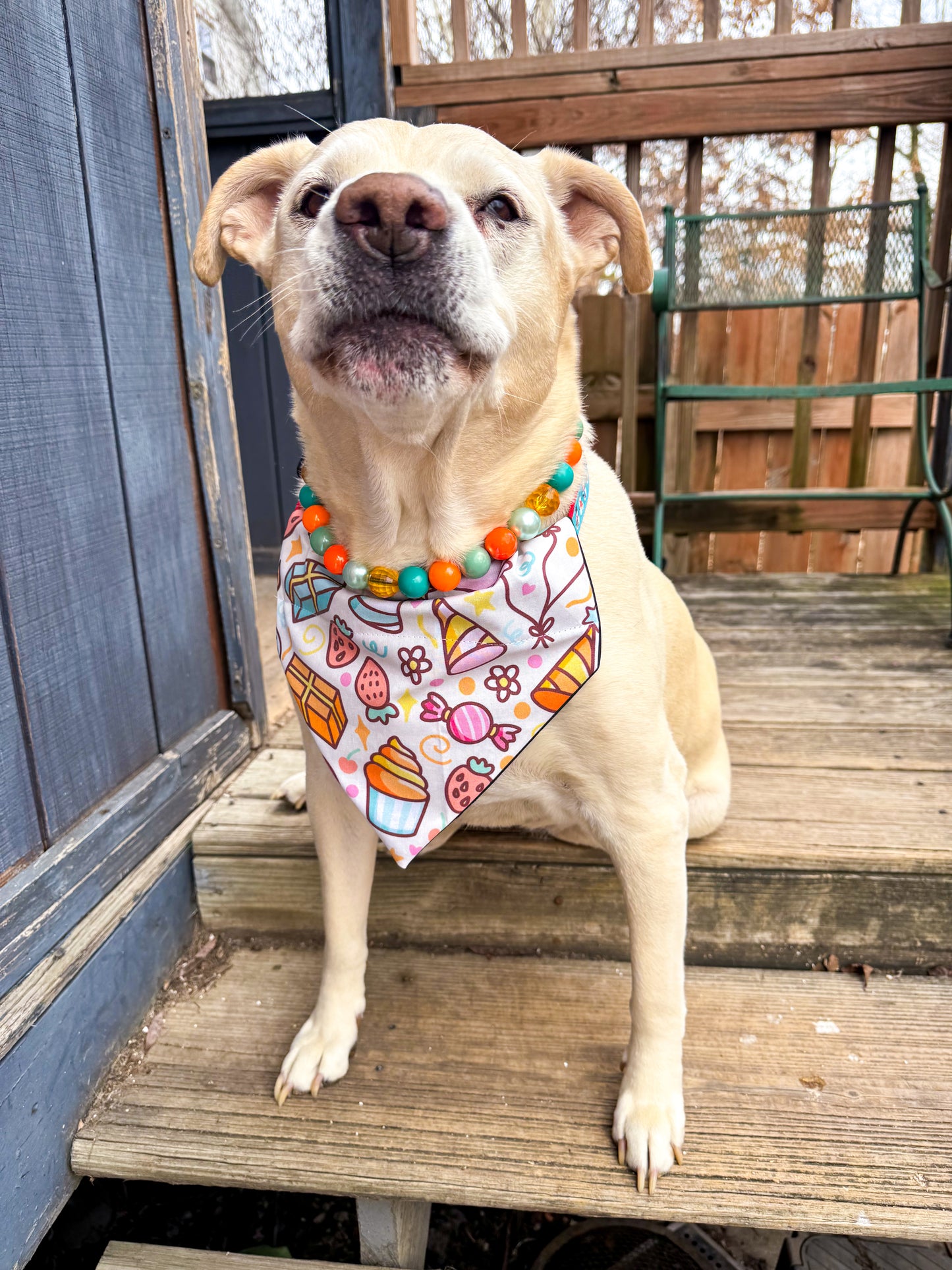 Confetti Balloons Bandana