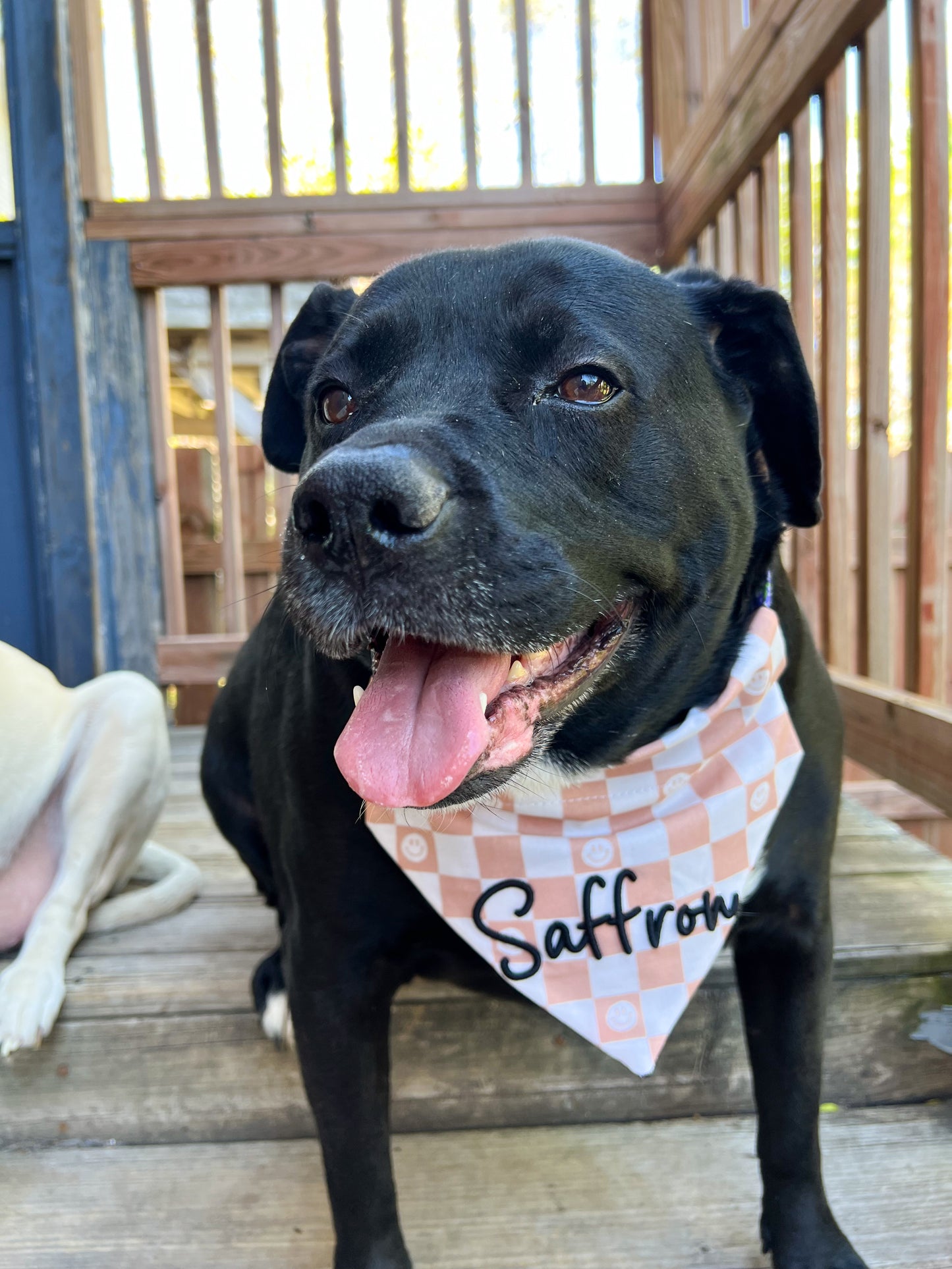 3D Embroidered Dog Bandana