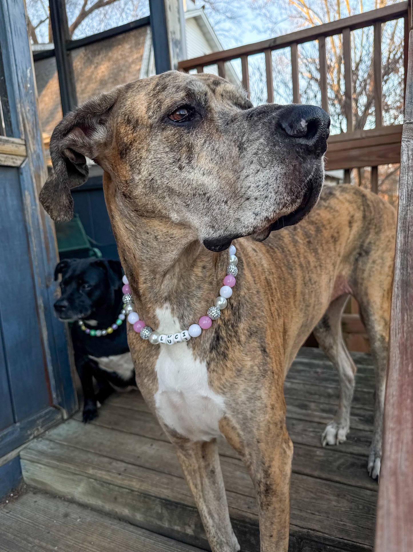 Pink Disco NYE Beaded Collar (With or W/O Name)