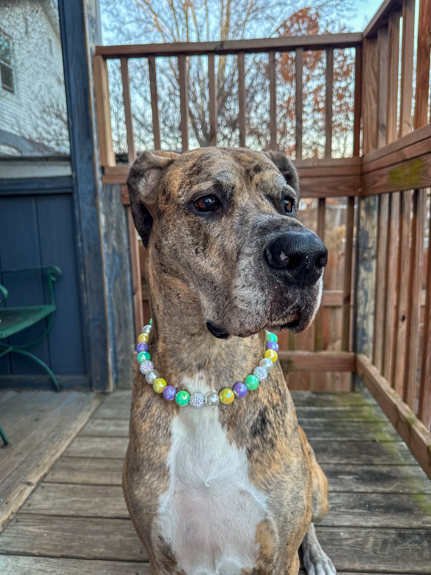 Pastel Mardi Gras Beaded Collar