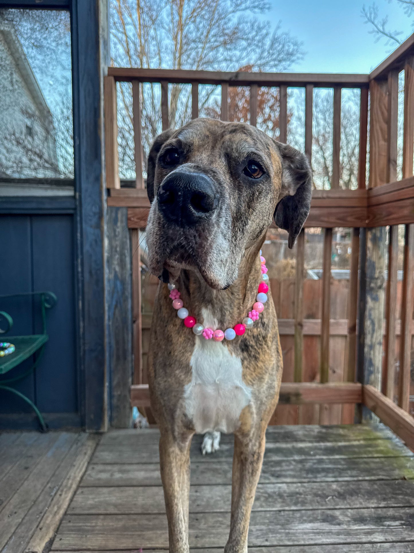 Bubble Pink NYE Beaded Collar