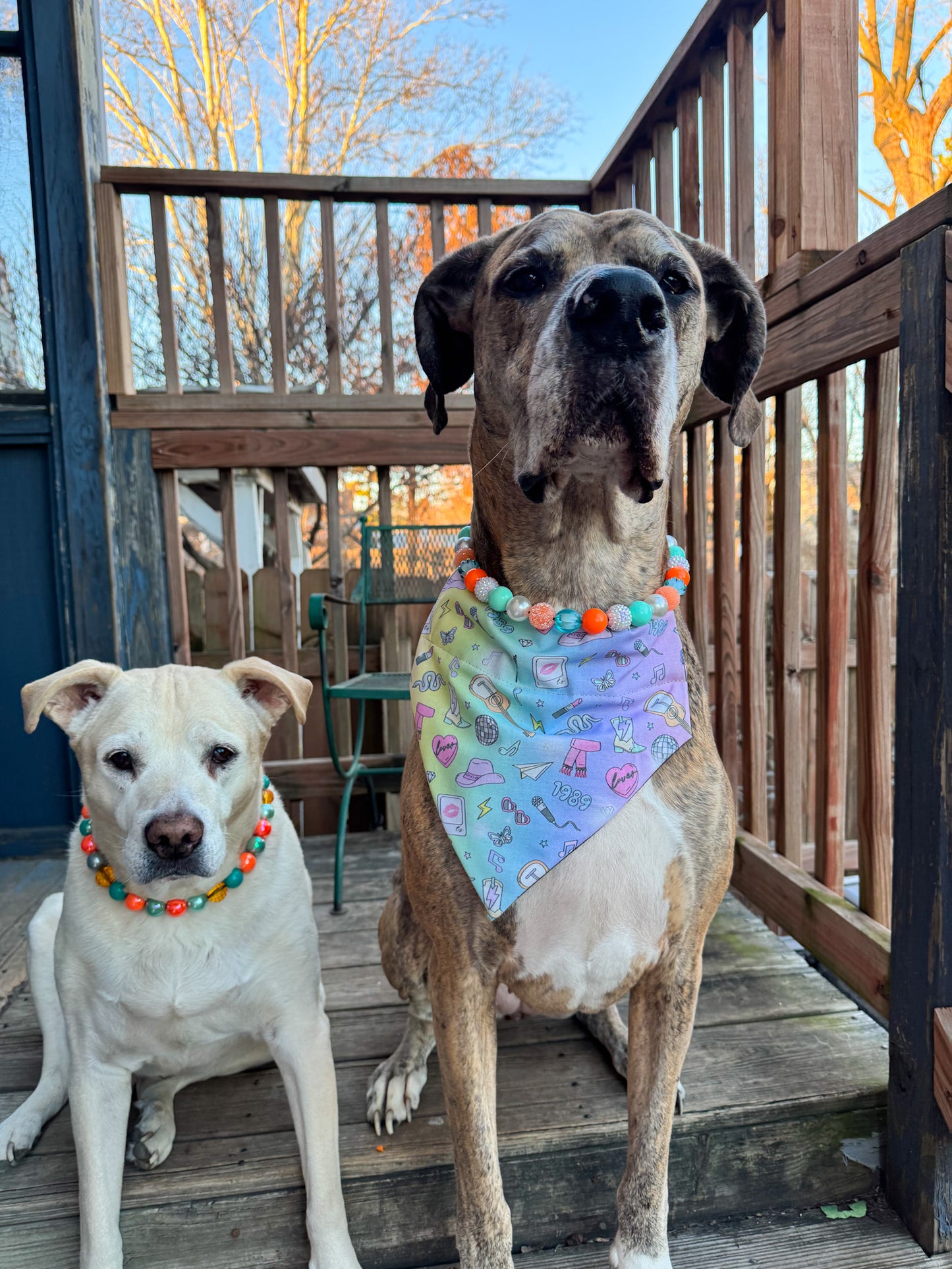Rainbow TS Icons Bandana