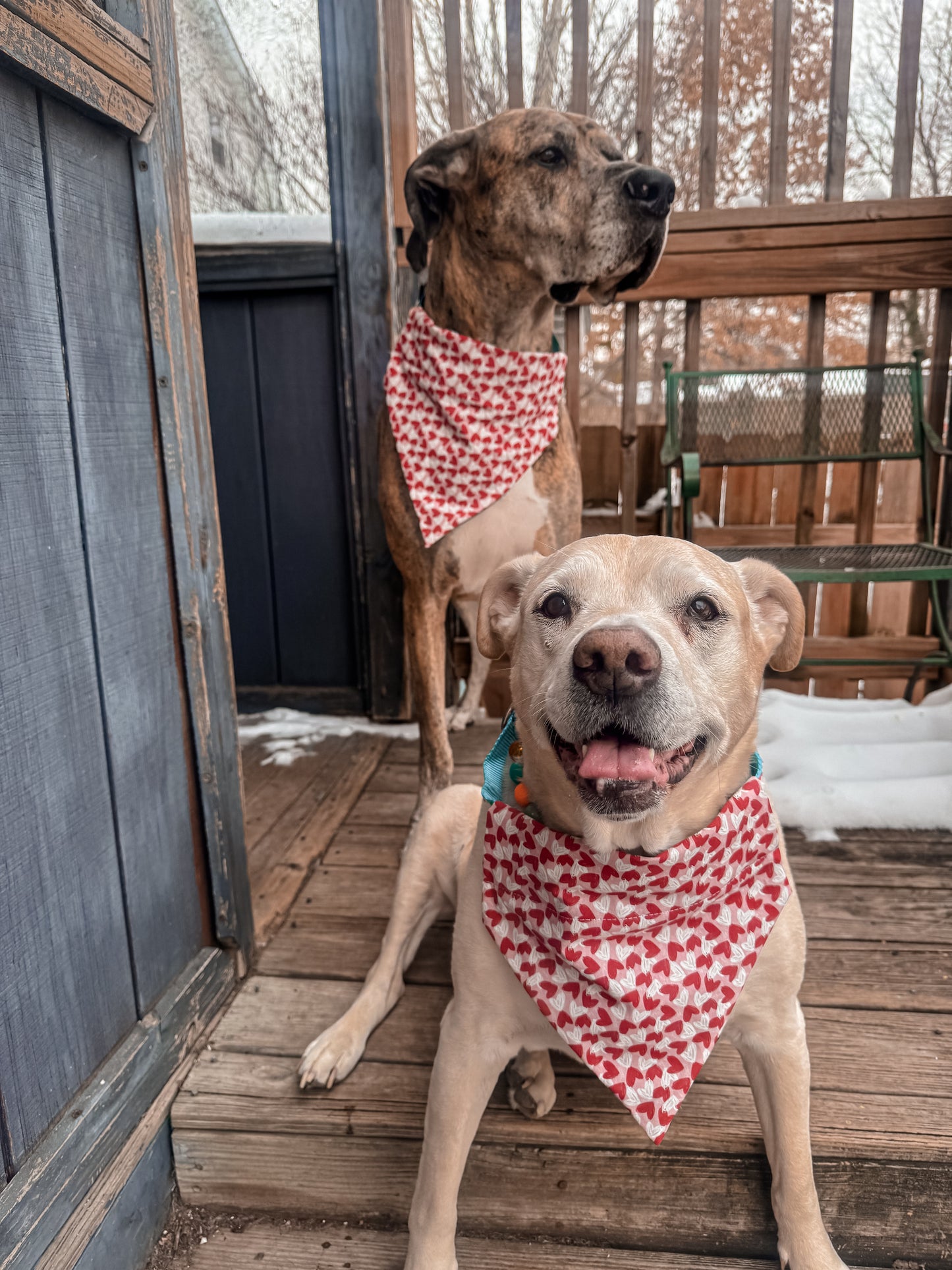 Sketch Mini Hearts Bandana