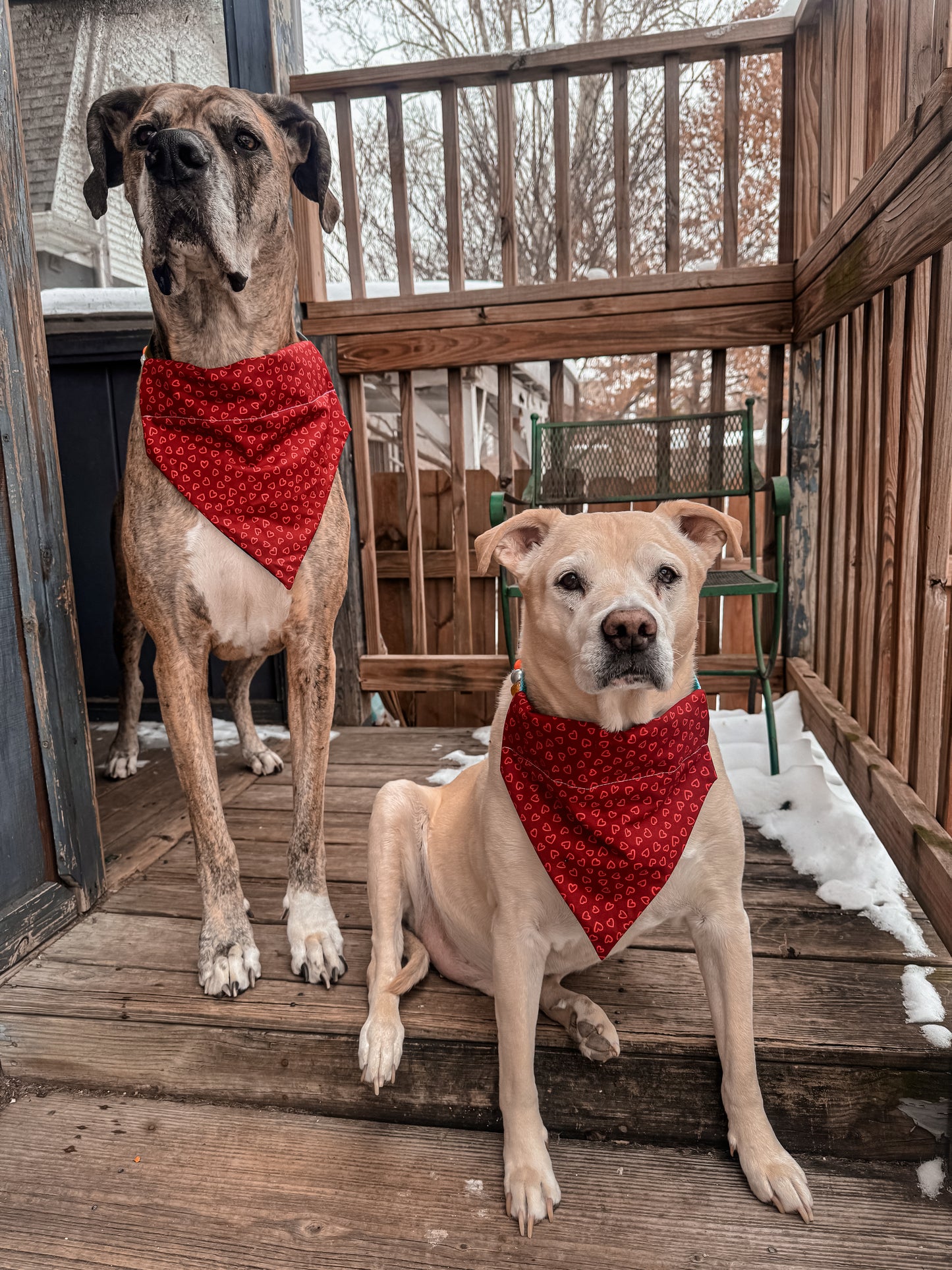 Mini Neutral Hearts Bandana