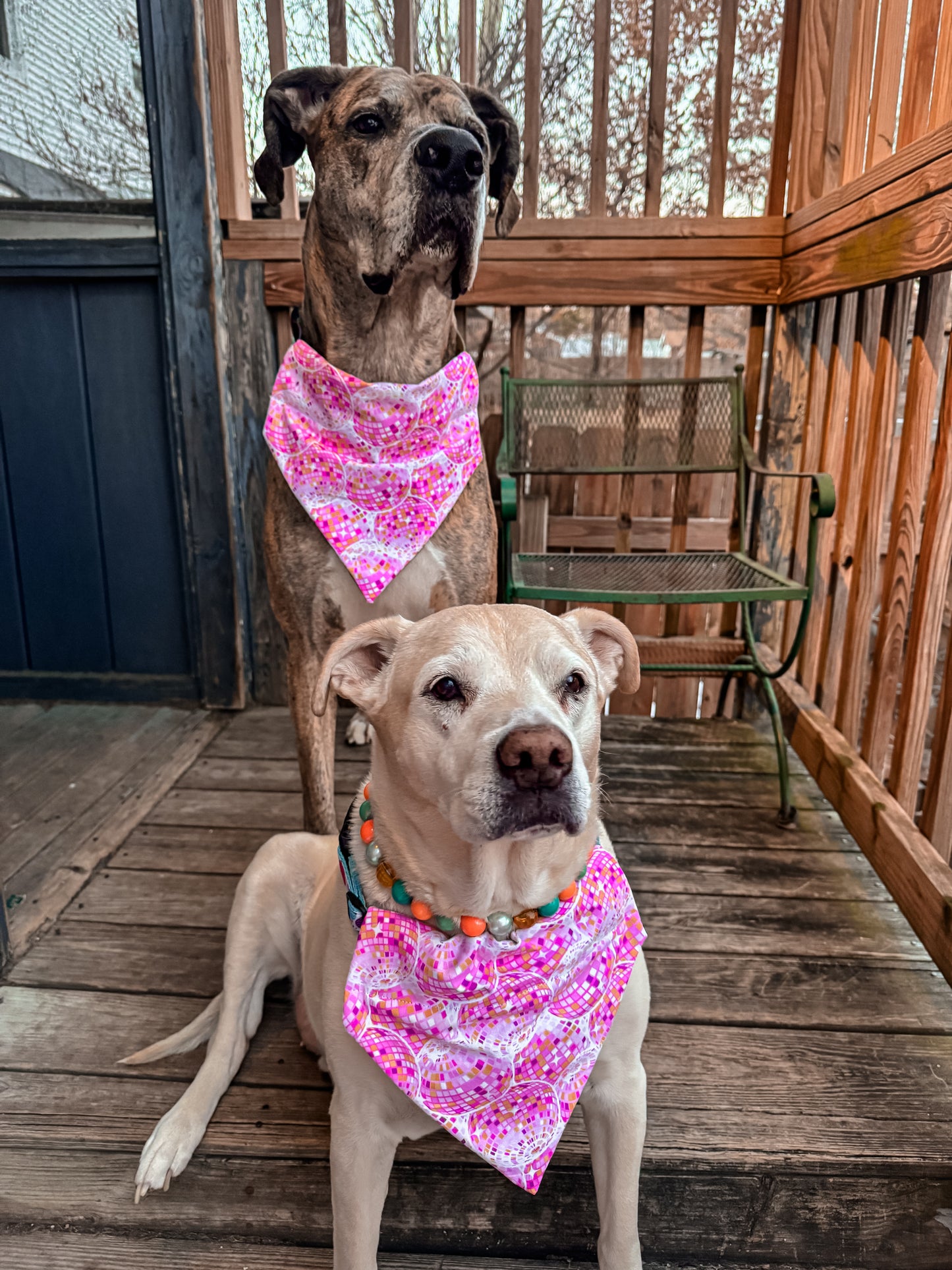 Hot Pink Disco Balls Bandana