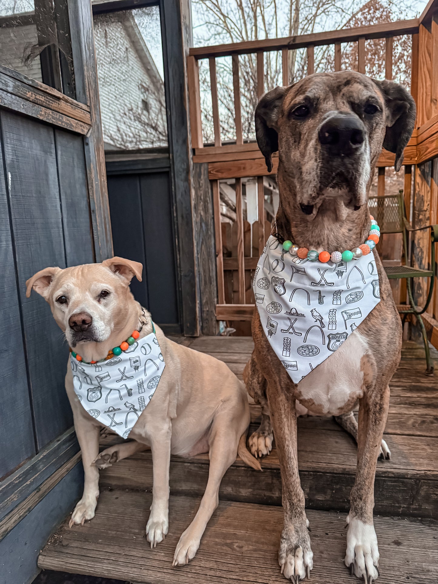STL Icons Bandana