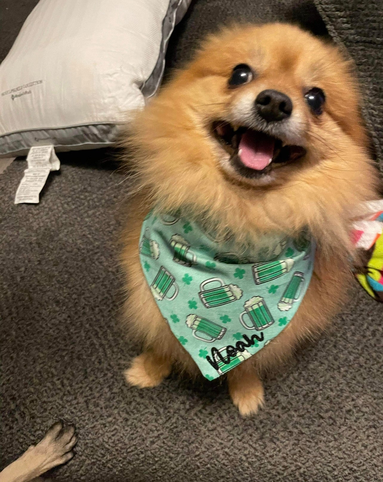 Green Beer Bandana