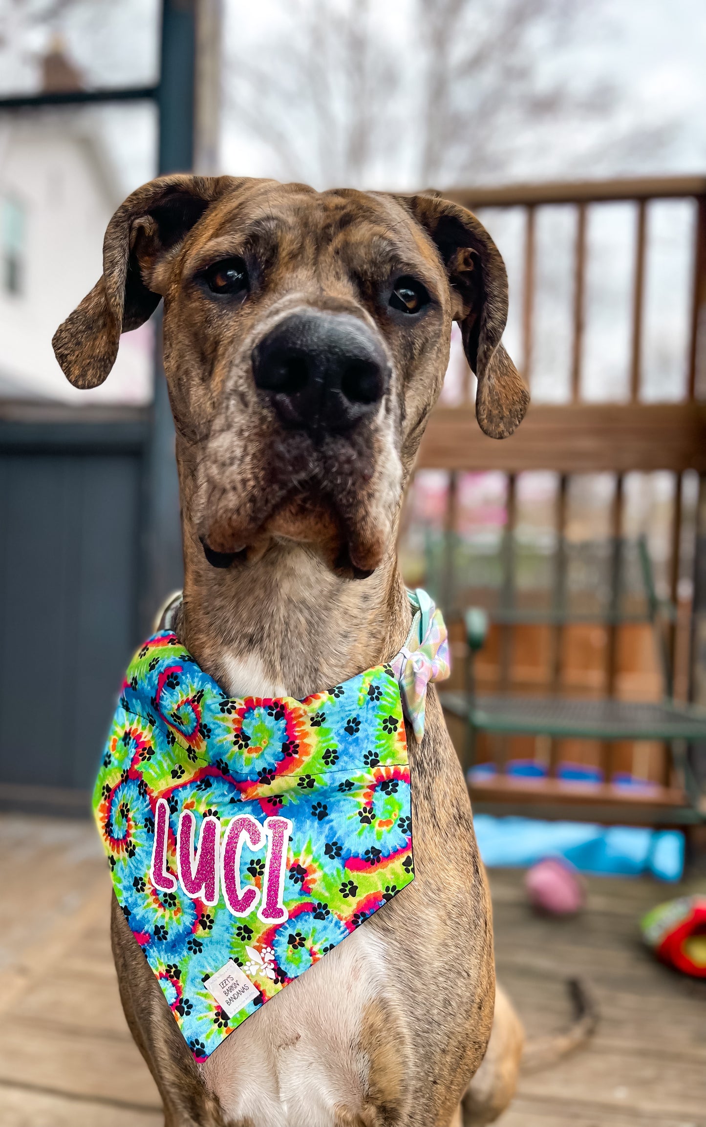 IZZYS x PUPS OF STL SUMMER BANDANA