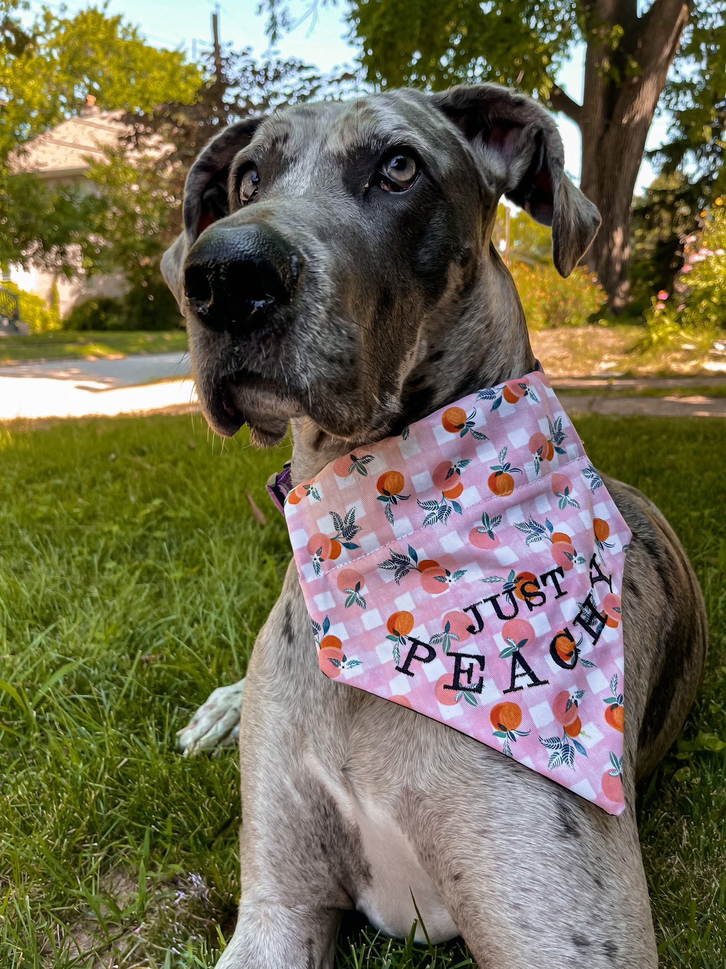 Just Peachy Embroidered Bandana