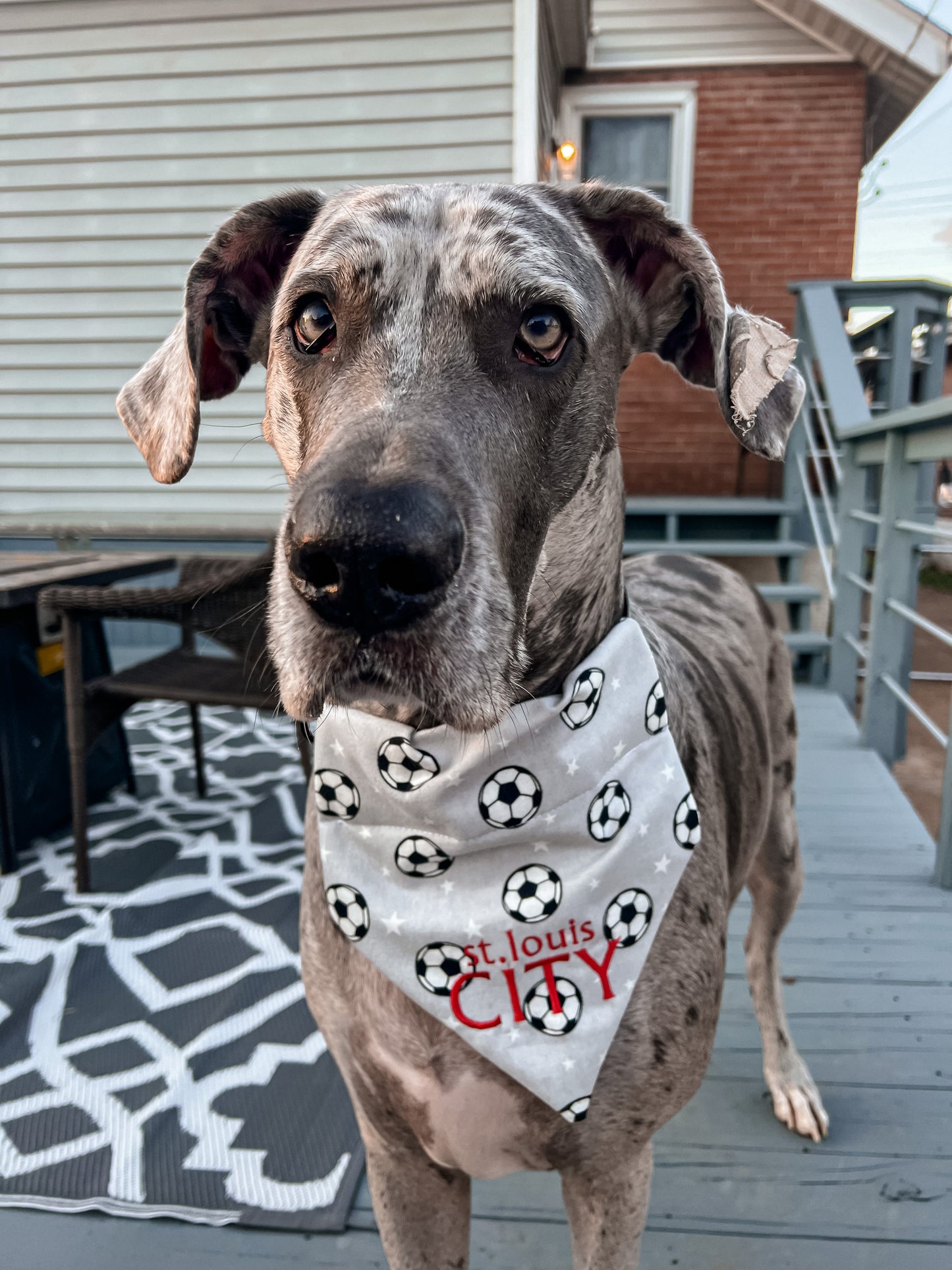 CITY Soccer Embroidered Bandana