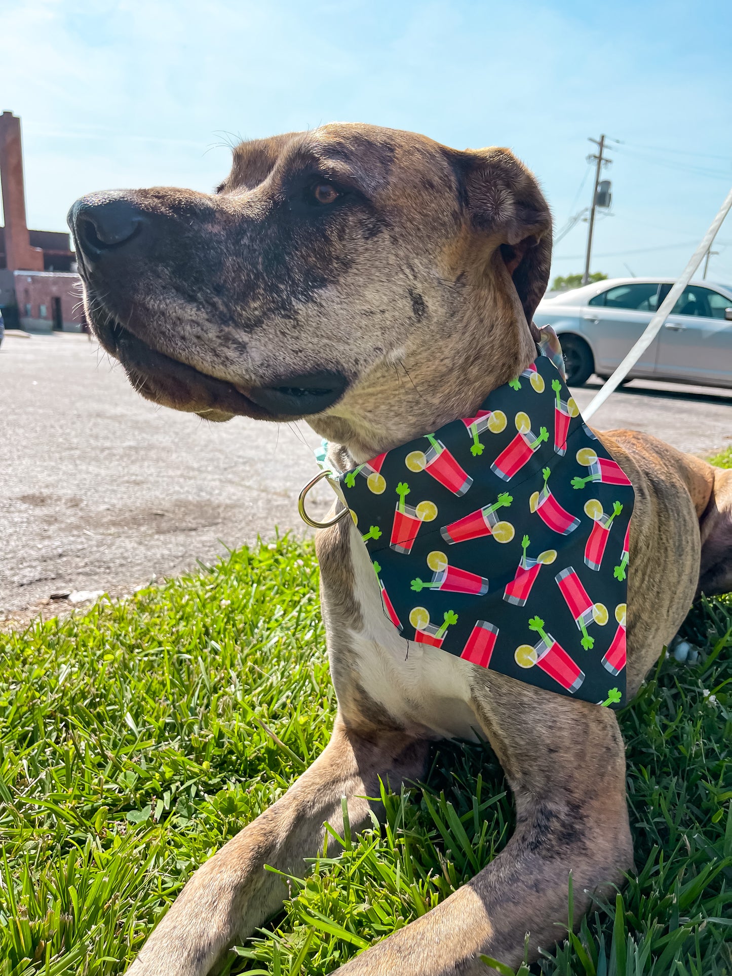 Bloody Mary Bandana