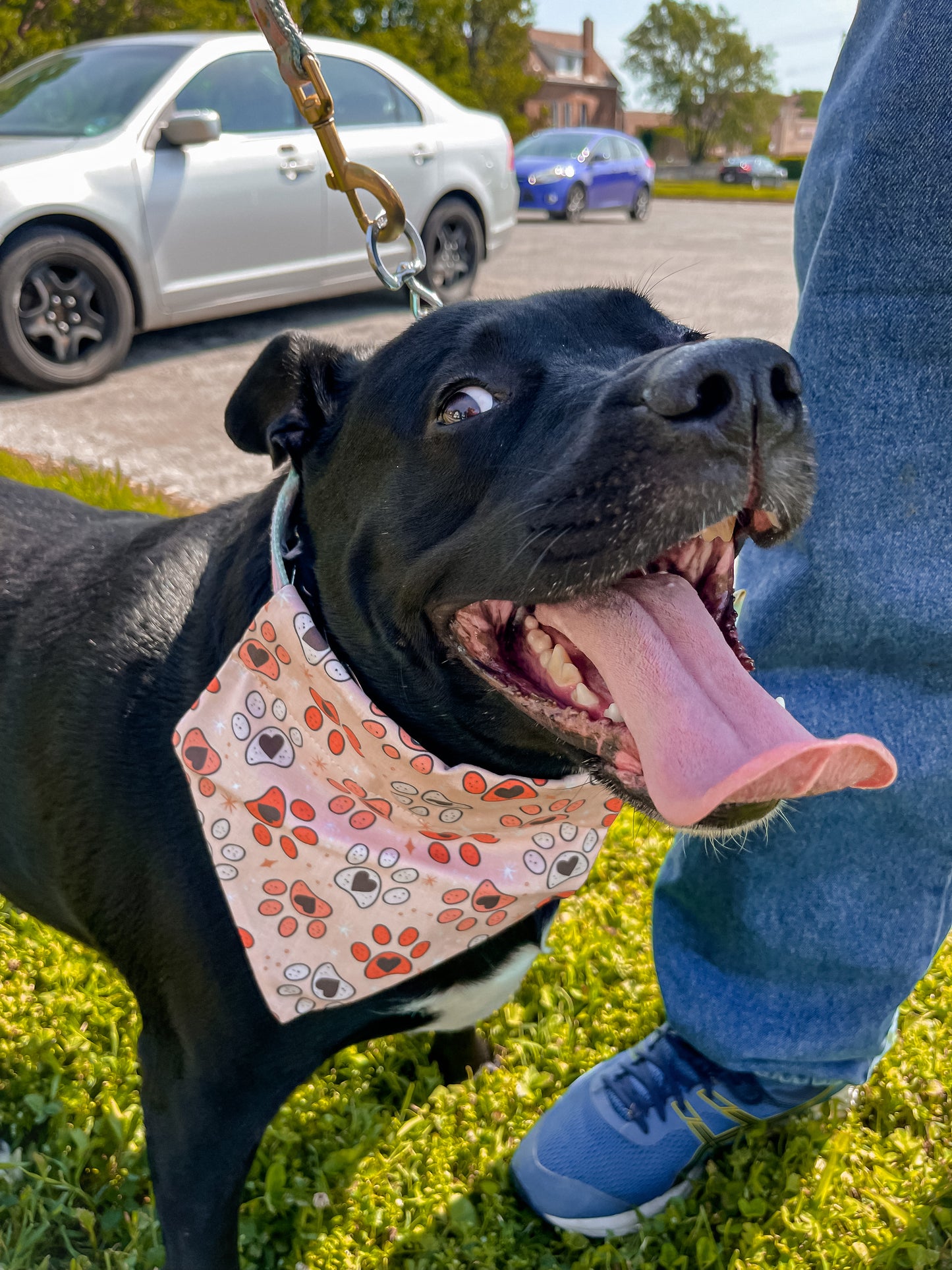 Pink Paw Prints Bandana