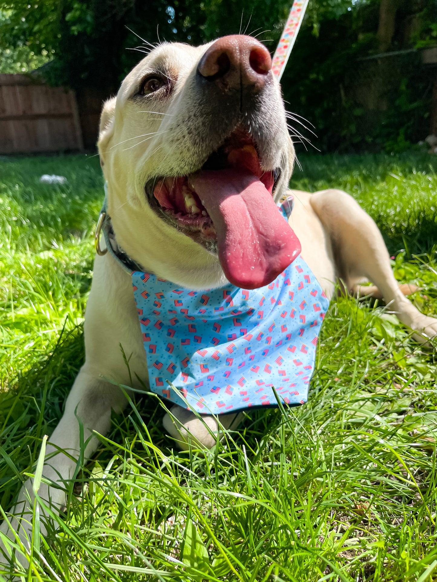 American Flags Bandana