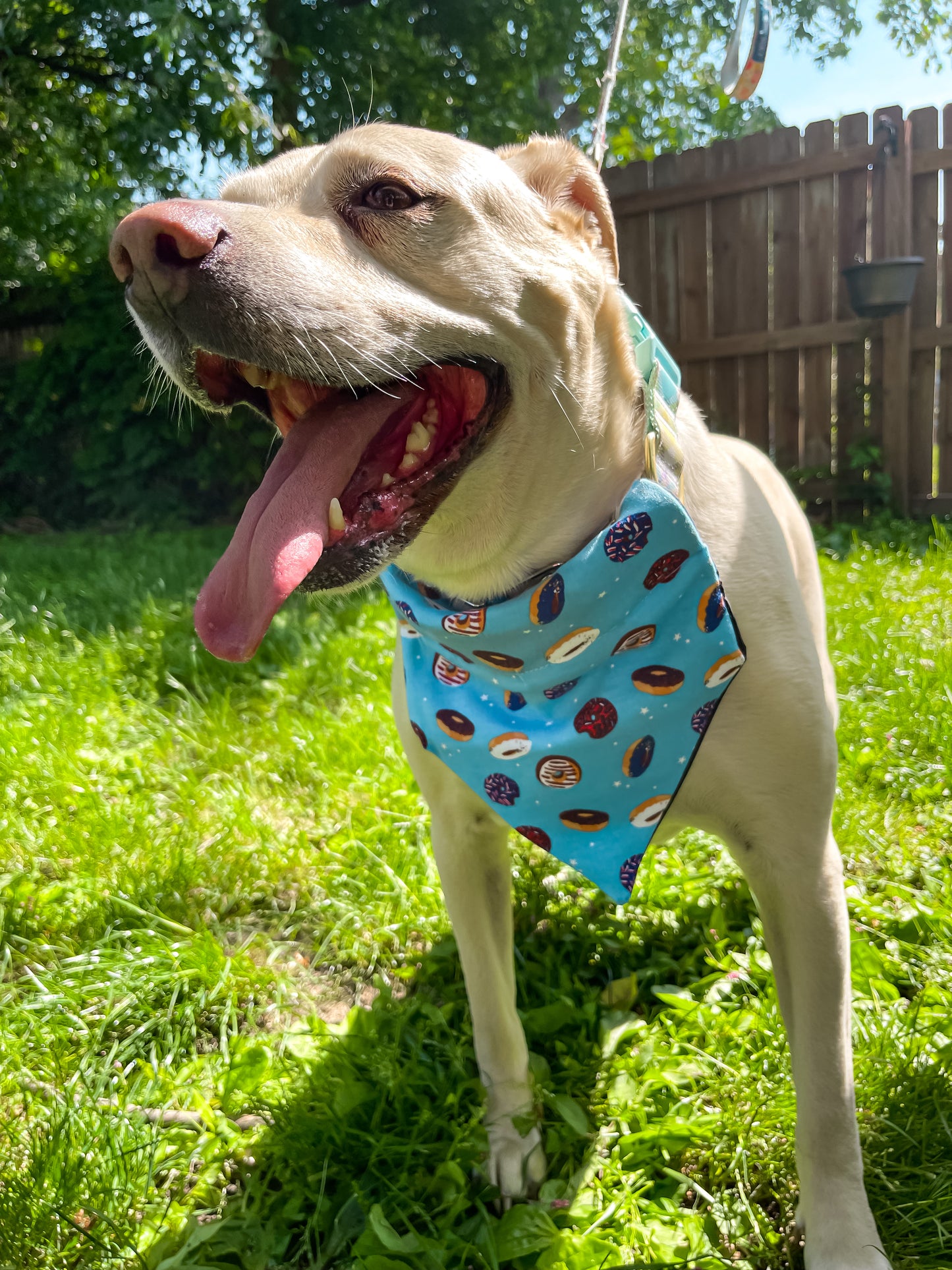 Patriotic Donuts Bandana