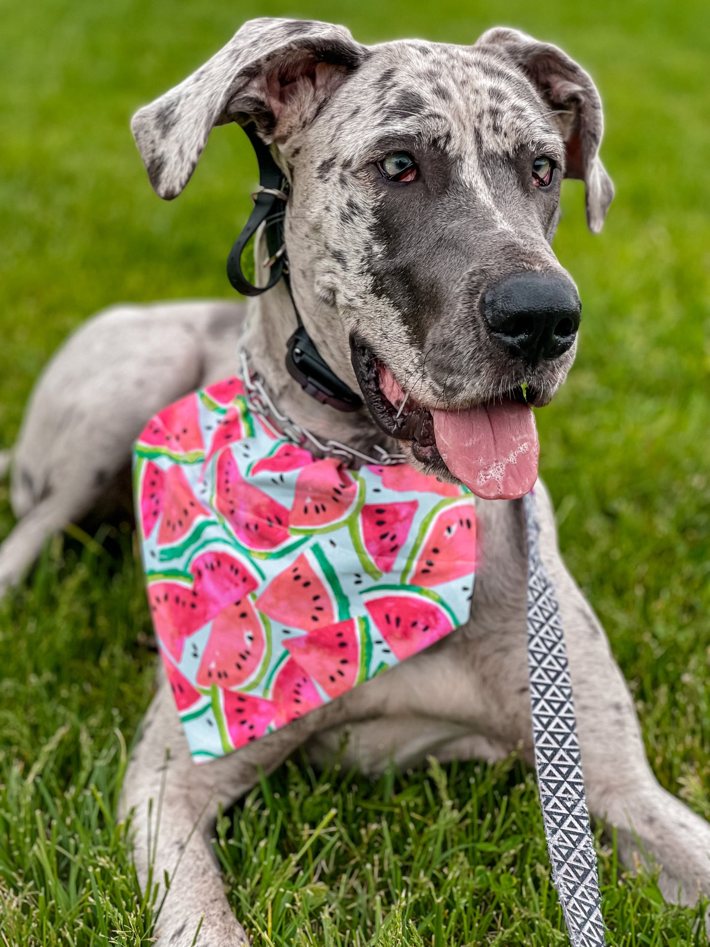 Watercolor Watermelon Bandana