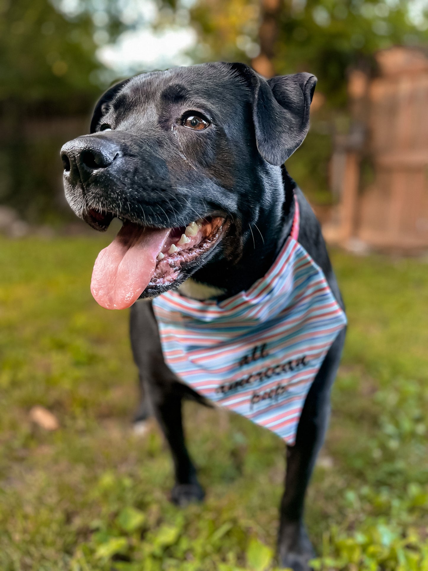 All American Pup Embroidered Bandana