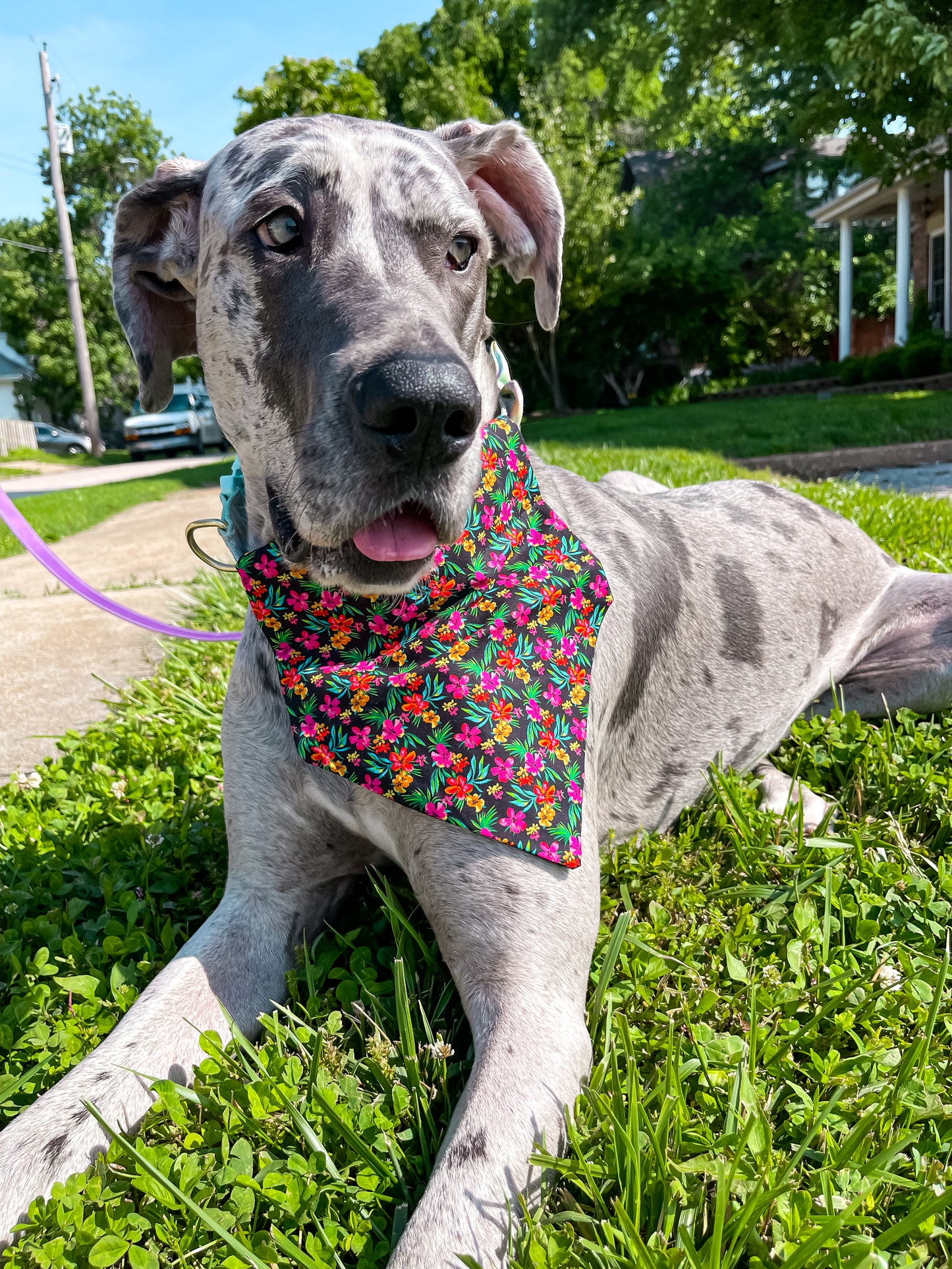 Black Floral Bandana