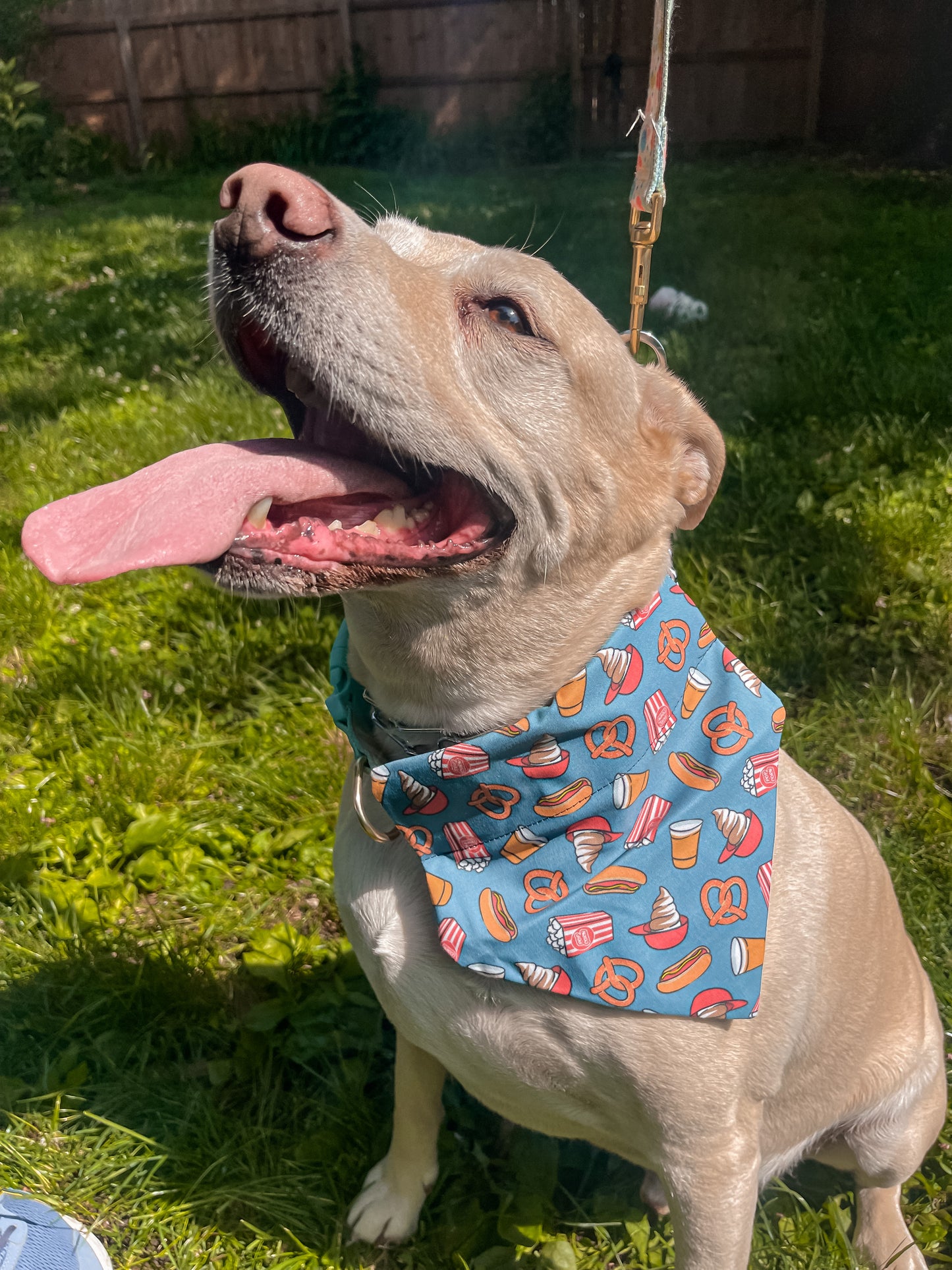 Concession Snacks Bandana