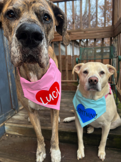 Valentine Heart Bandana