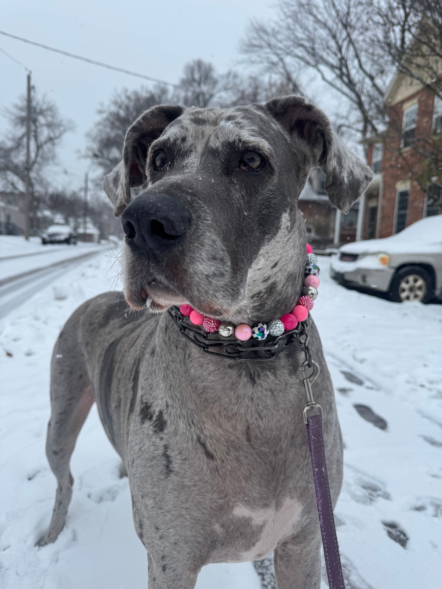 Disco Cowgirl Beaded Collar