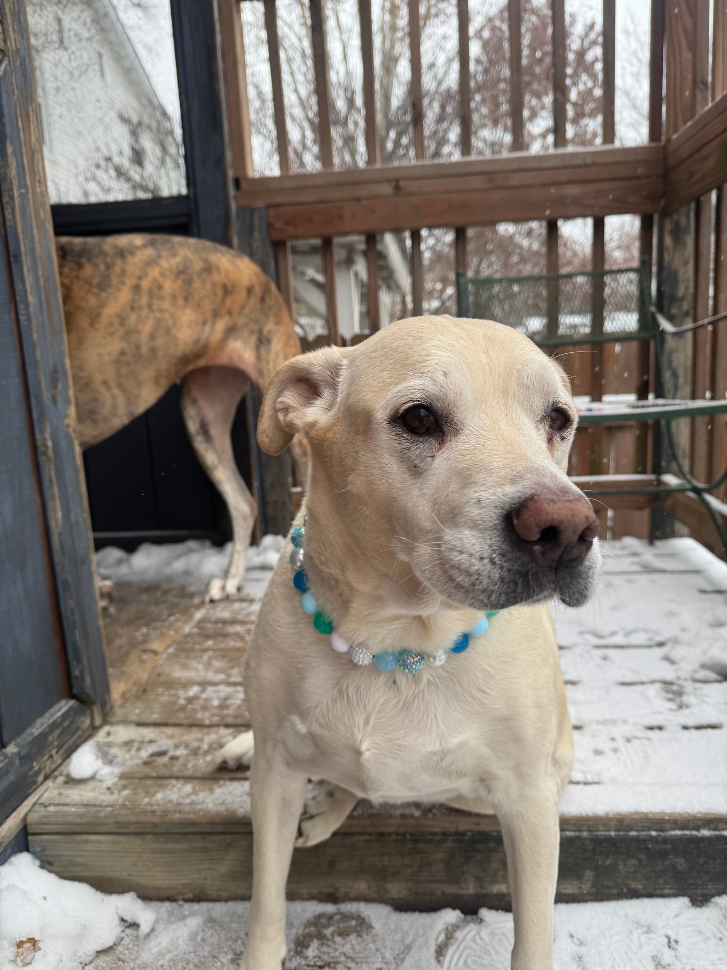 Winter Wonderland Beaded Collar
