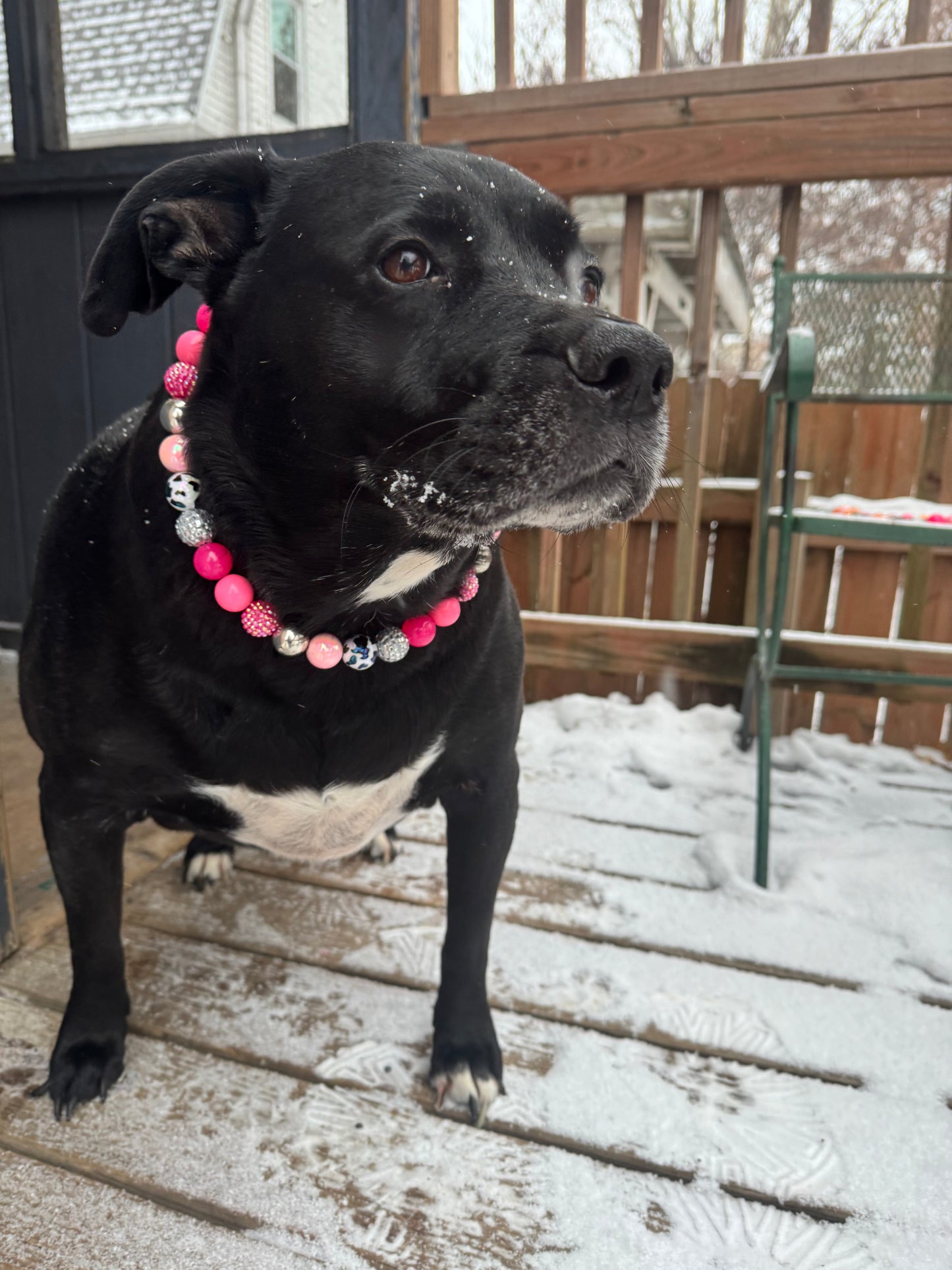 Disco Cowgirl Beaded Collar