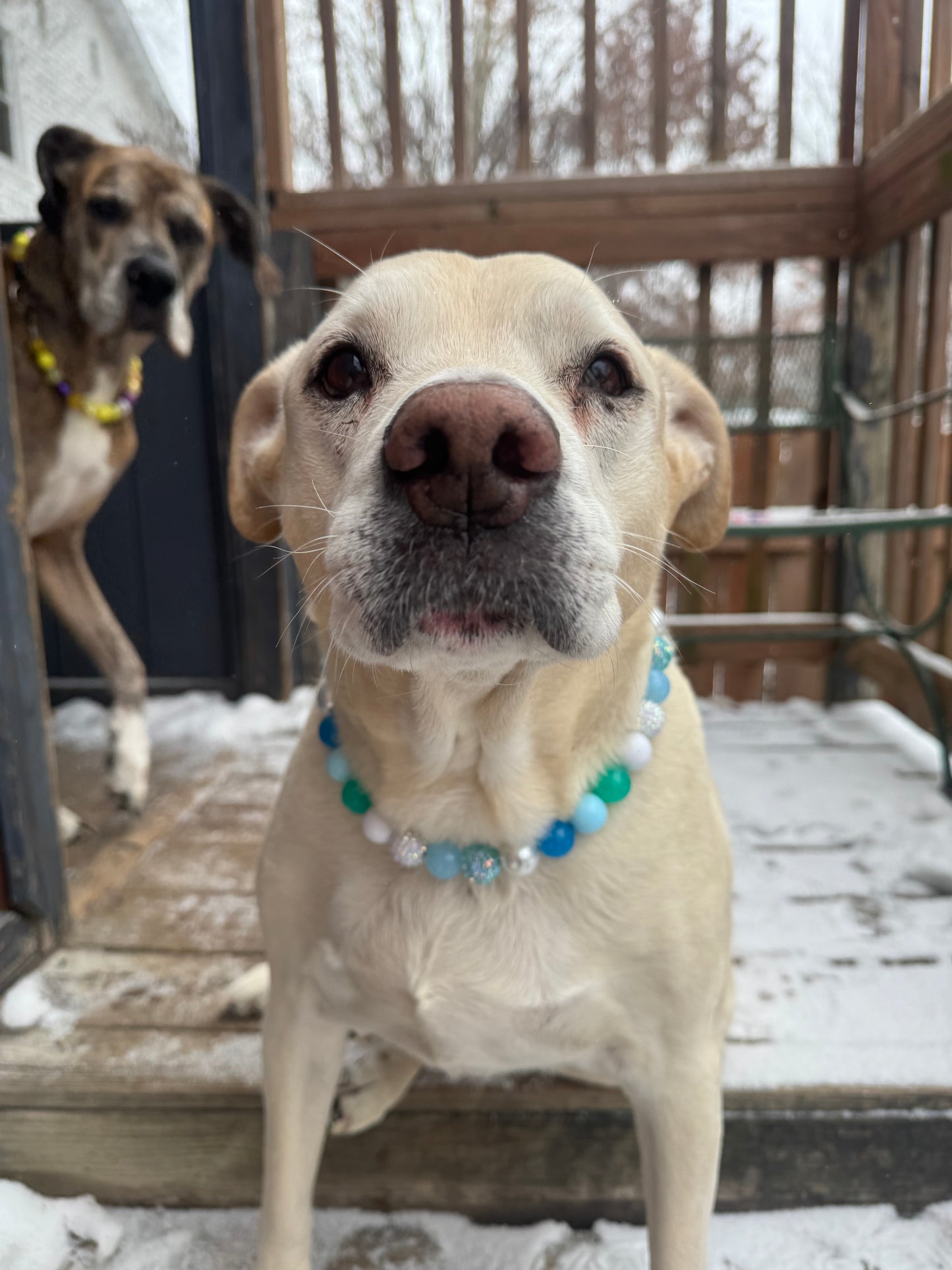 Winter Wonderland Beaded Collar