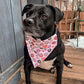 Valentines Donuts and Coffee Bandana