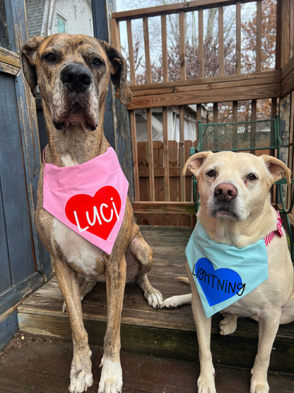Valentine Heart Bandana