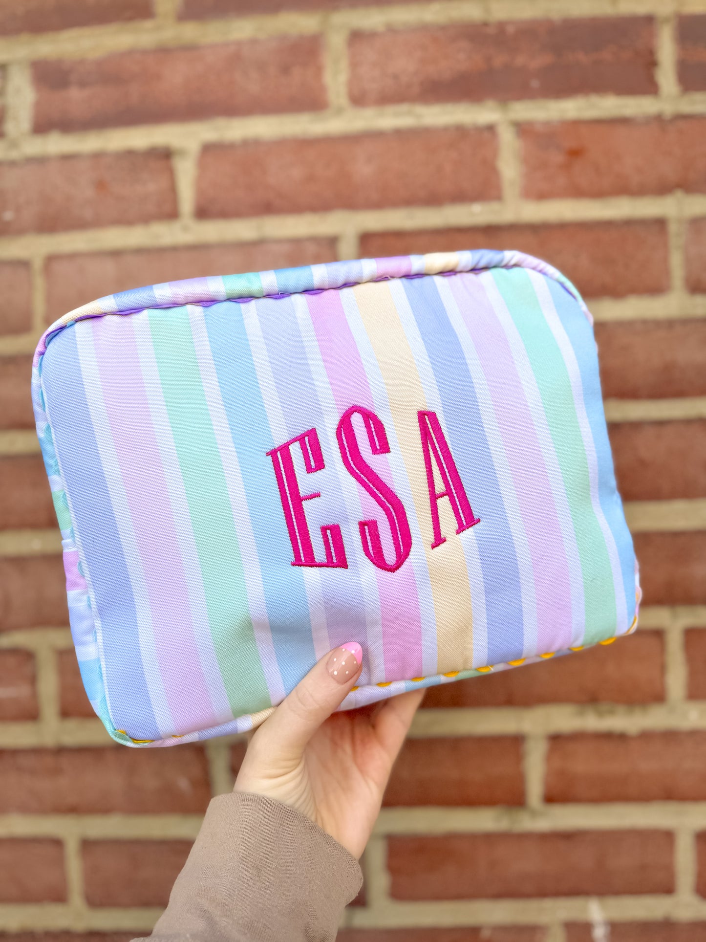 LARGE Make up/Accessory Bag