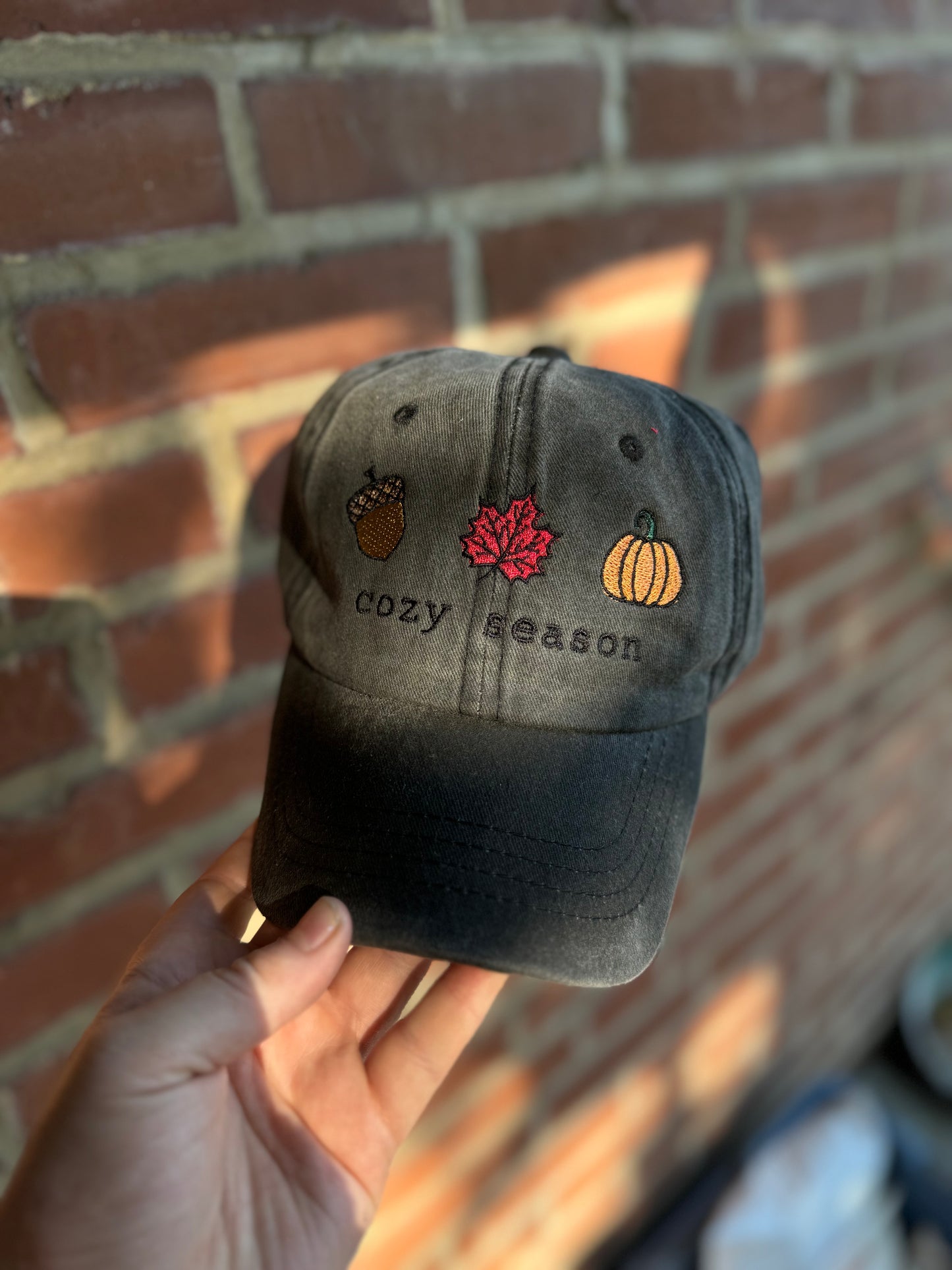 Cozy Season Embroidered Hat