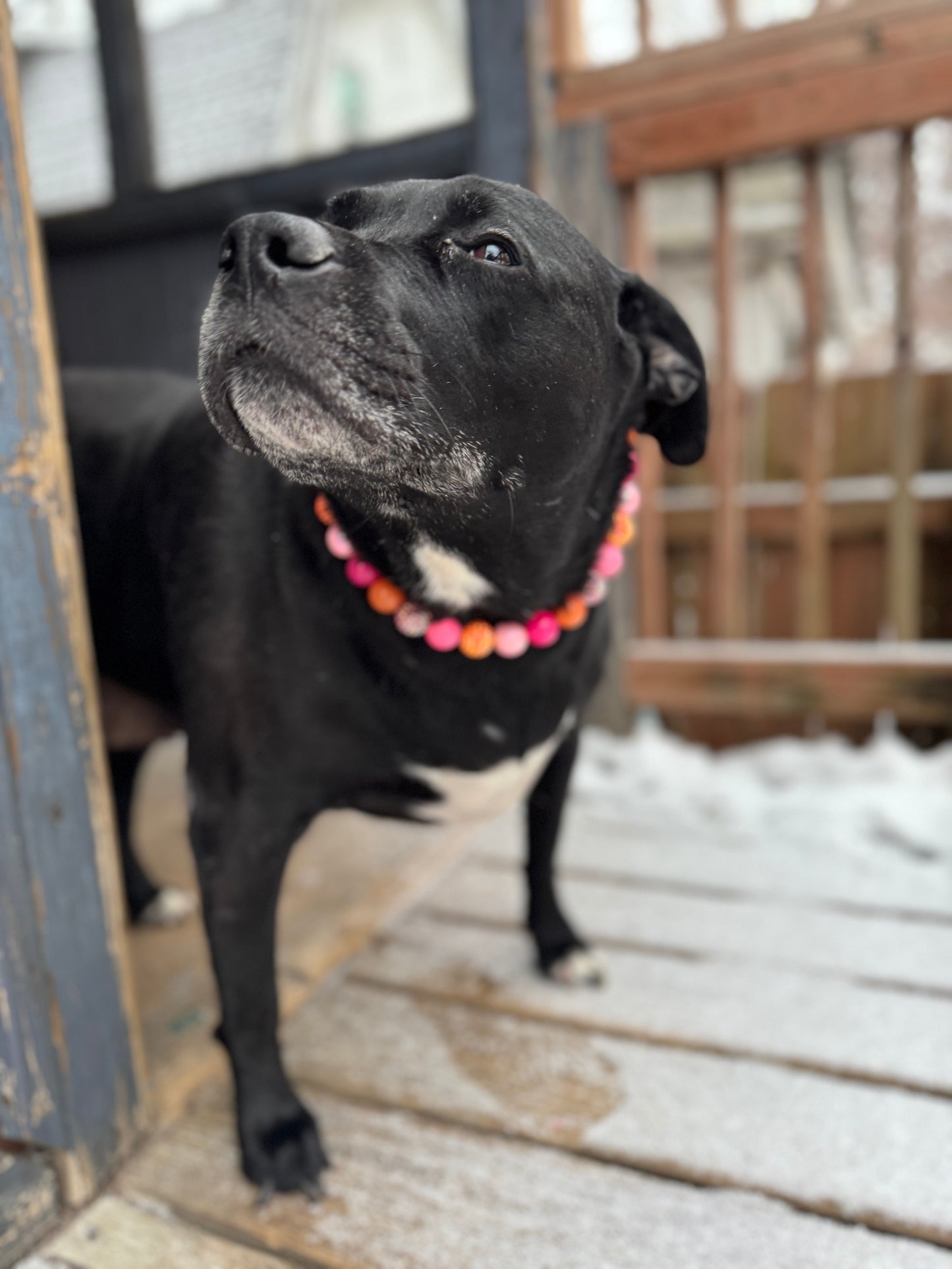 Sunkissed Beaded Collar