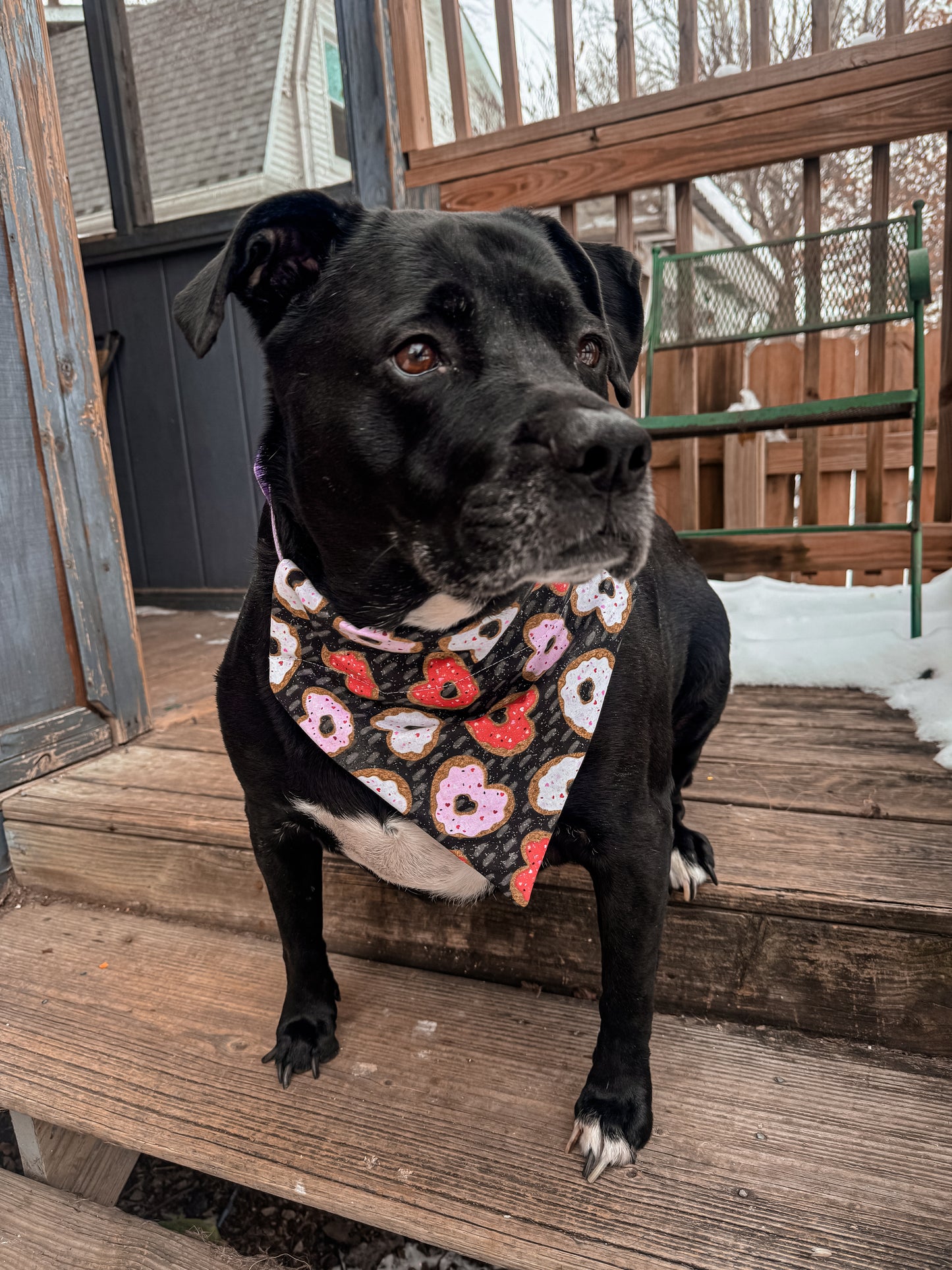 Glitter Donuts Bandana