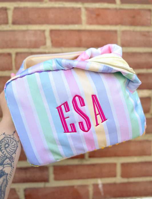 LARGE Make up/Accessory Bag