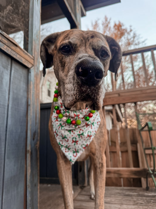 Candy Canes Bandana
