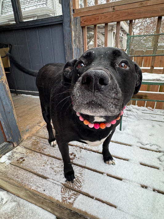 Sunkissed Beaded Collar