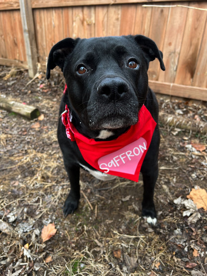 Valentine Heart Bandana