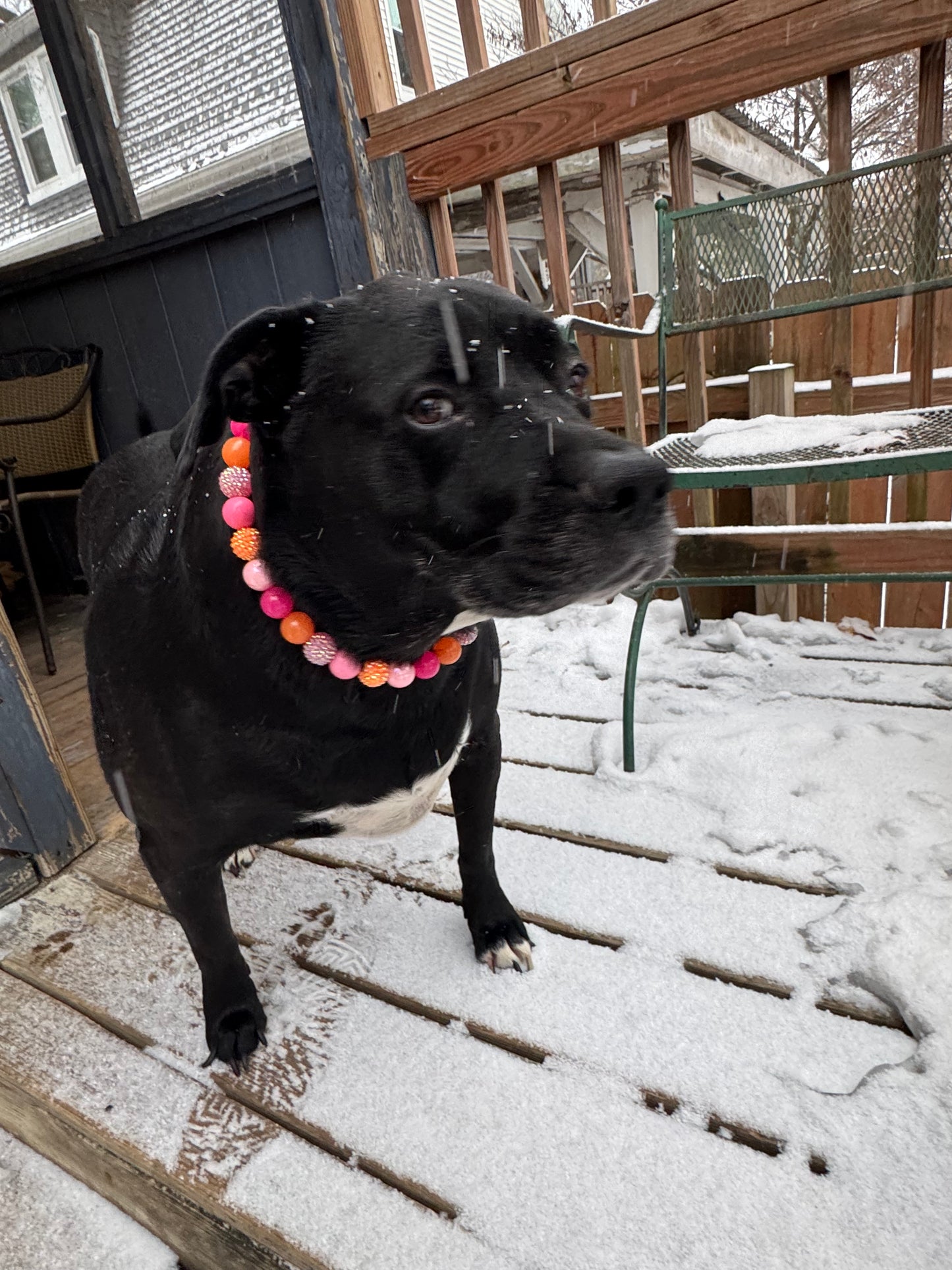 Sunkissed Beaded Collar