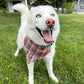 Fall Plaid Bandana