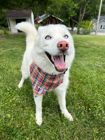 Orange Plaid Bandana