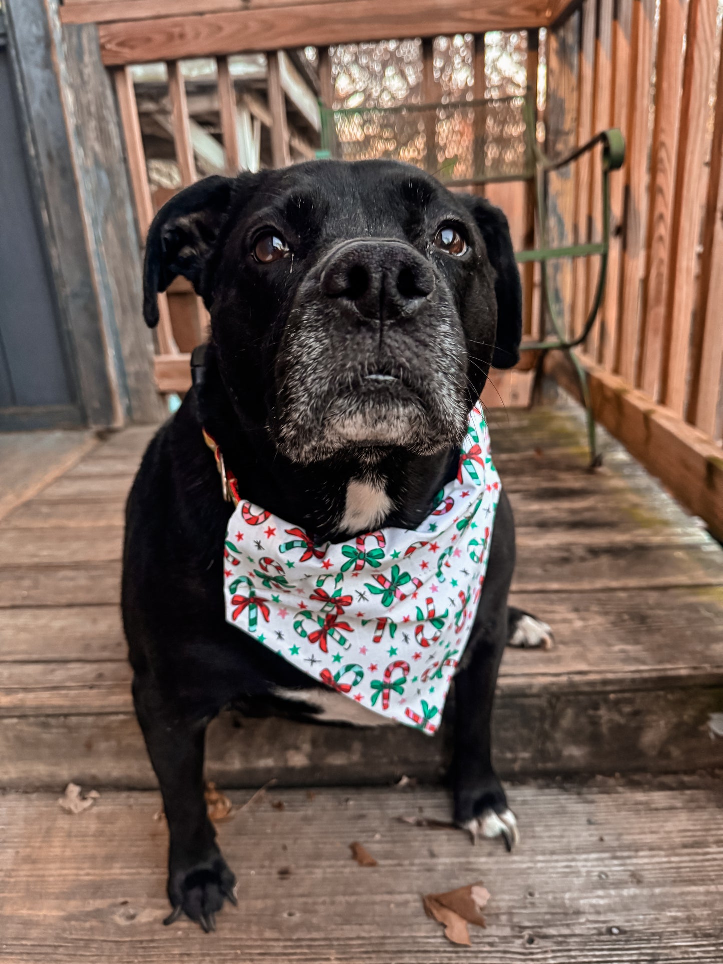 Candy Canes Bandana