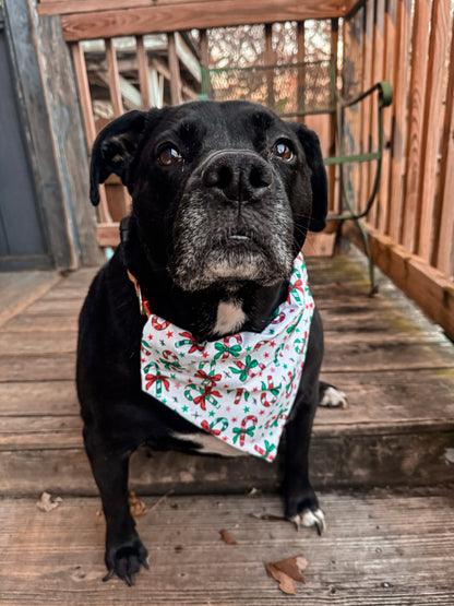 Candy Canes Bandana