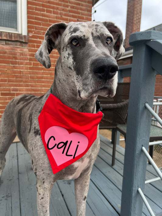 Valentine Heart Bandana