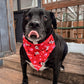 I Woof You Bandana