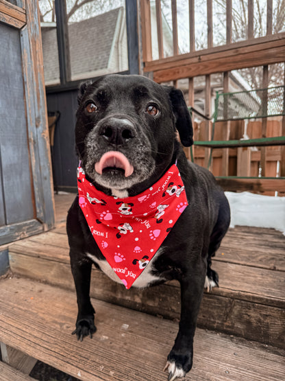 I Woof You Bandana